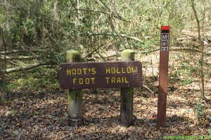 Brazos Bend State Park Hoots Hollow Sign