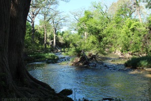McKinney Falls Onion Creek Upstream