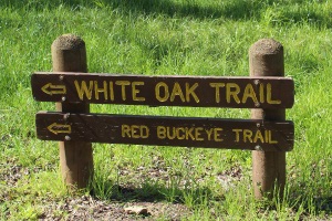 Brazos Bend State Park Red Buckeye Trail Sign