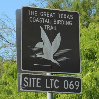 Great Texas Birding Trail