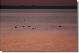 Lake Livingston Sunset