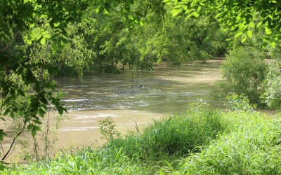 San Antonio River at Goliad State Park