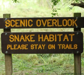 Scenic Overlook - Snake Habitat