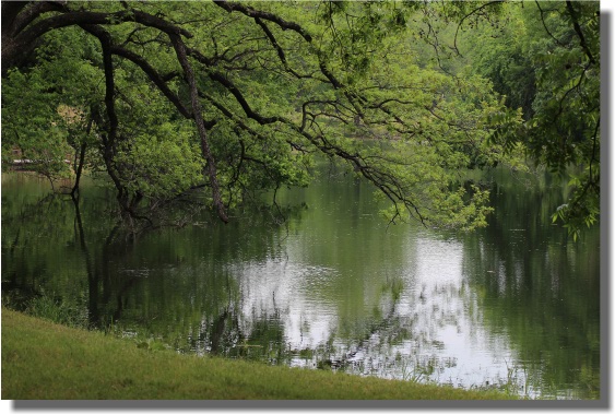 Fishing Pond at South Llano River State Park